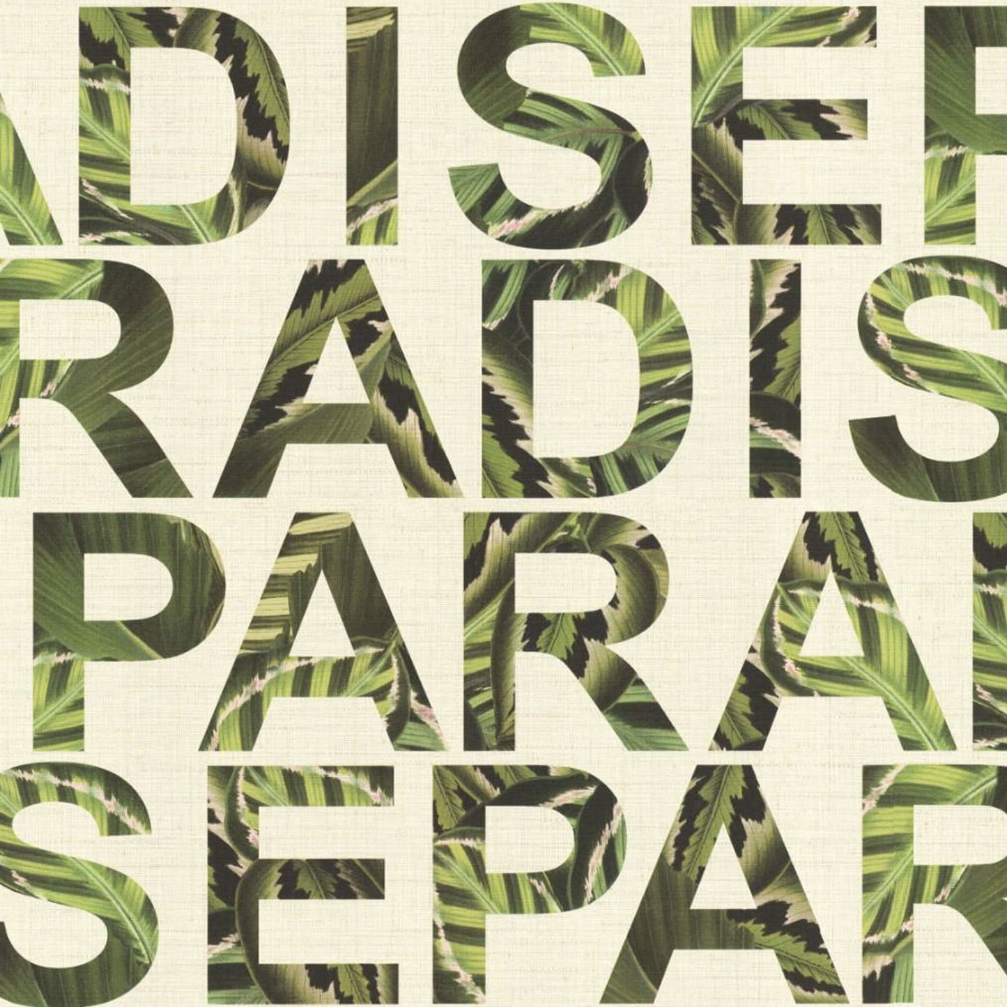 Jungle Paradise Alphabet Wallpaper