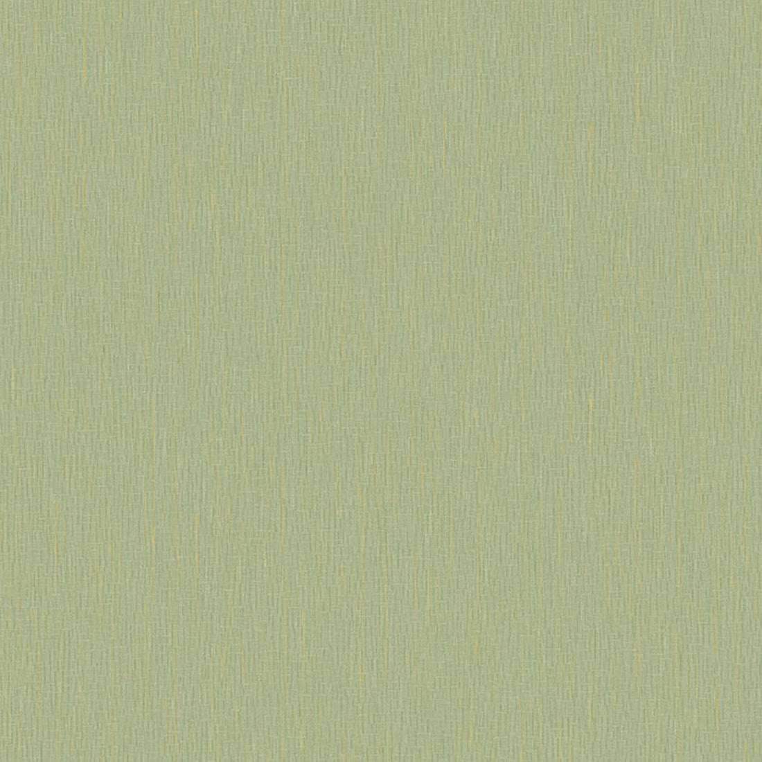 Soothing Forest Green Textured Wallpaper AapKaPainter WallPapers