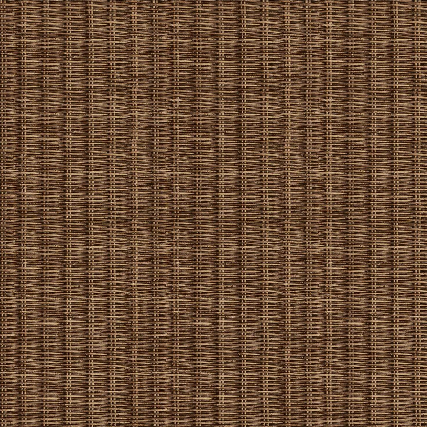 Brown Beauty Textured Wallpaper