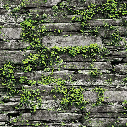 Stone and Foliage Fusion Wallpaper