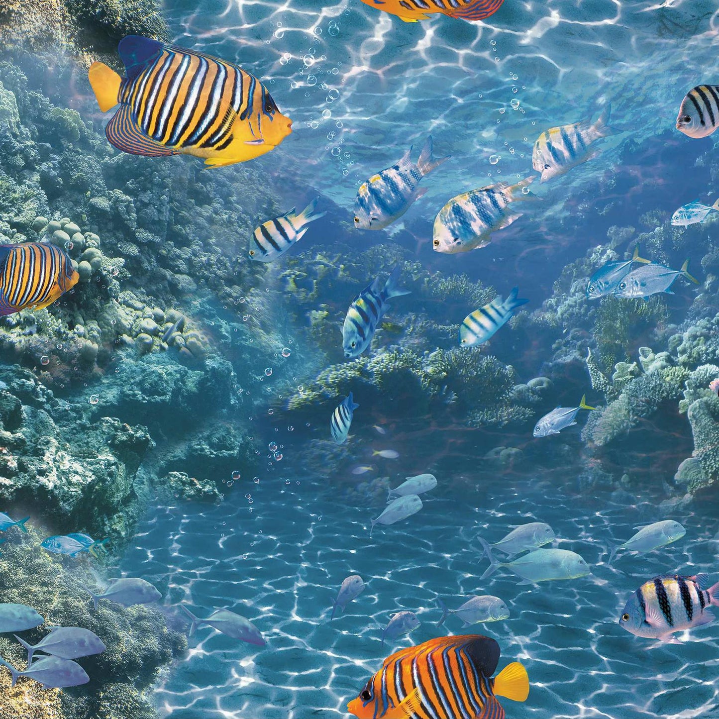 Underwater Oasis Wallpaper Design