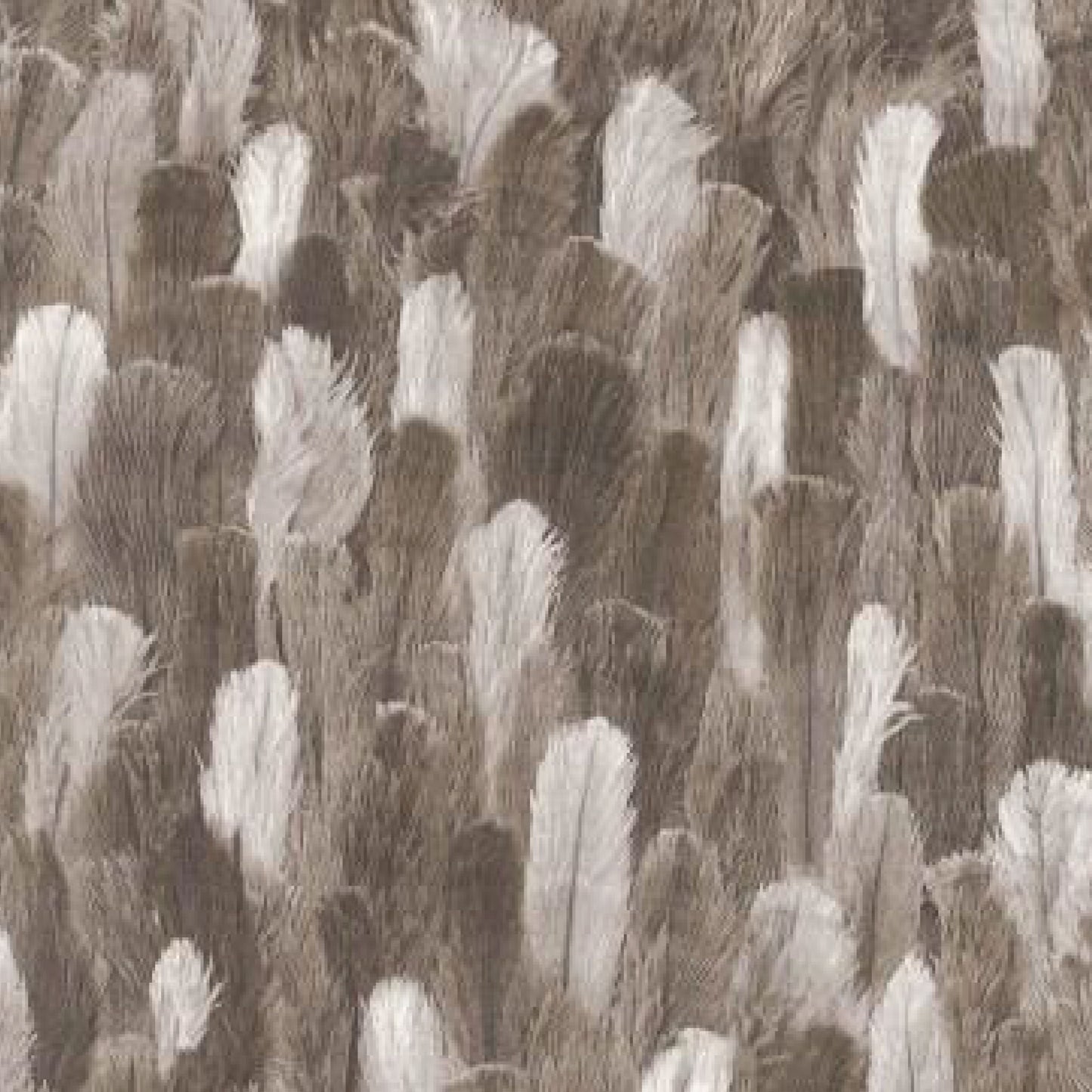 Chic Featherscape  Pattern Wallpaper